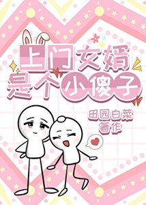 上门女婿是个小傻子